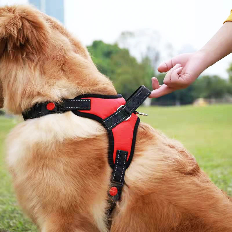 FlexiComfort® - Adjustable Dog Harness