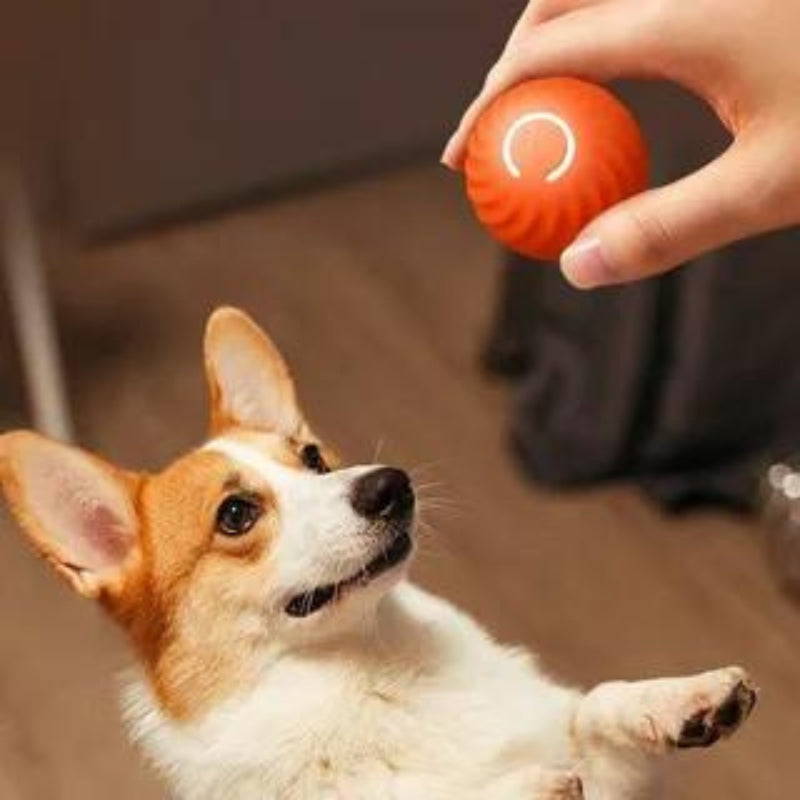 PlayPal® - Electronic Interactive Pet Toy